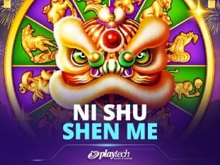 Ni Shu Shen Me